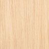 Dream Hair Health & Beauty Blond #22 Dream Hair Style GT 21 20"/50cm Synthetic Hair