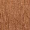 Dream Hair Health & Beauty 24" = 60 cm / 12 Dream Hair Euro Straight Human Hair
