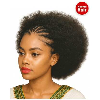 Dream Hair Health & Beauty Dream Hair Human Hair 13x4 Braid Wig Natural Color