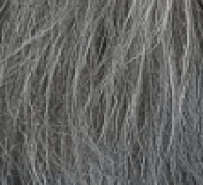 Hair by Sleek Health & Beauty #Grey Hair By Sleek 101 TIFFANY Wig 23" (synthetic)