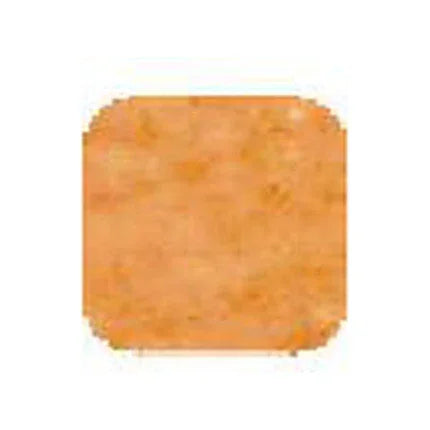 ViVi Health & Beauty Peanuts Vivi Oil Control Compact Powder Dark 8G