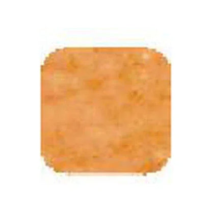 ViVi Health & Beauty Peanuts Vivi Oil Control Compact Powder Dark 8G
